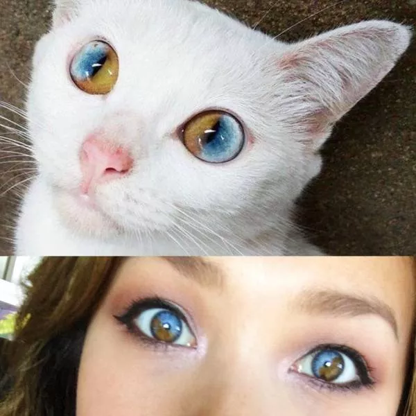 Picdump 148 - #19 