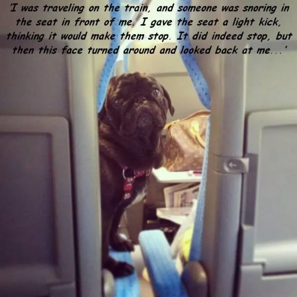 Picdump 148 - #2 
