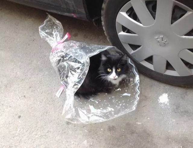 Picdump 148 - #20 