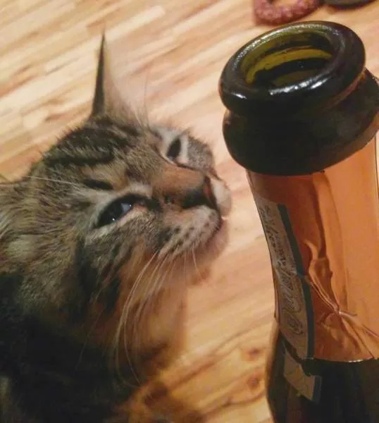 Picdump 148 - #7 