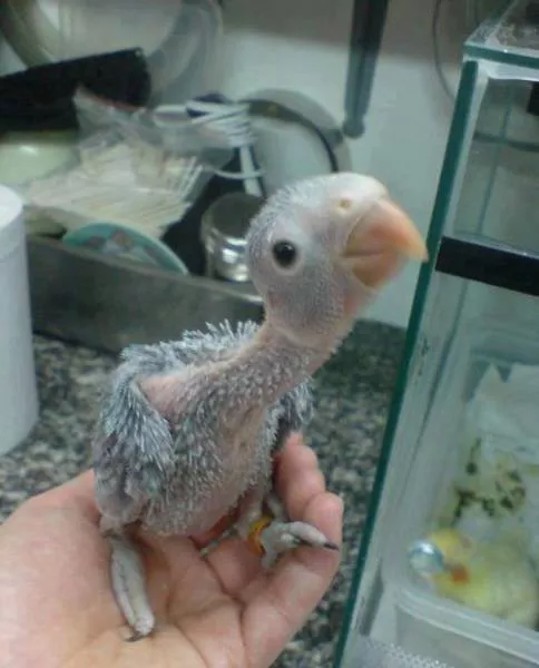 Picdump 42 - #10 
