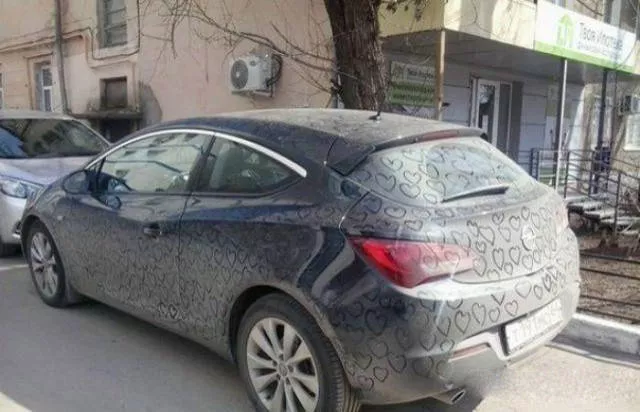 Picdump 42 - #13 