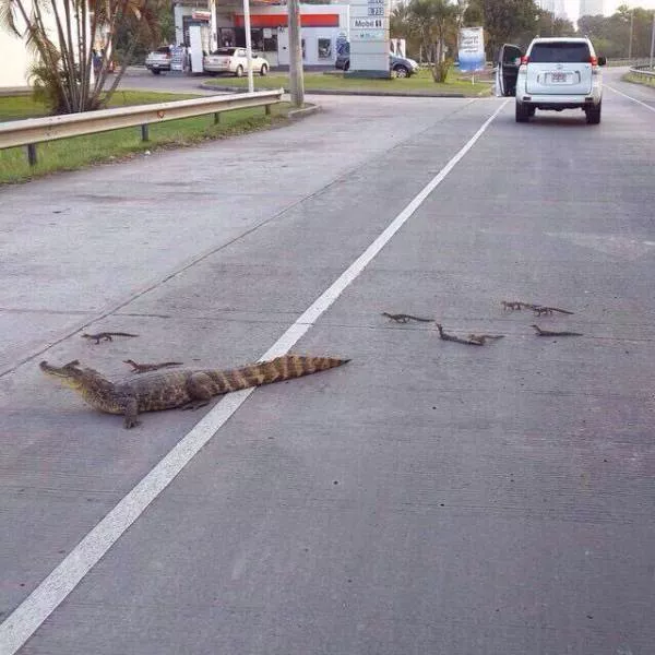 Picdump 42 - #26 