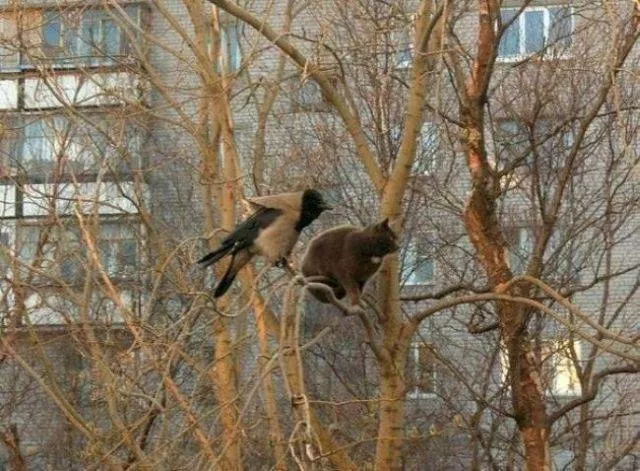 Picdump 42 - #37 