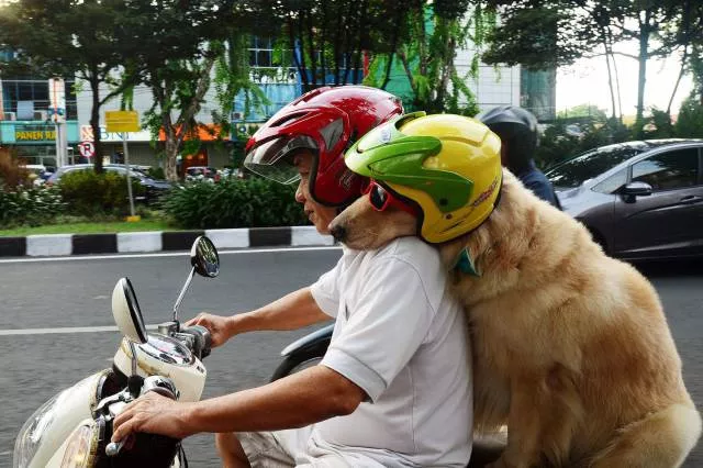 Picdump 42