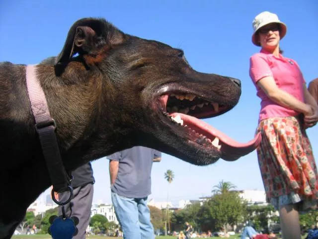 Picdump 42 - #61 