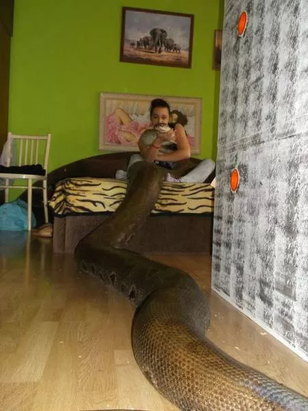 Picdump 42 - #62 