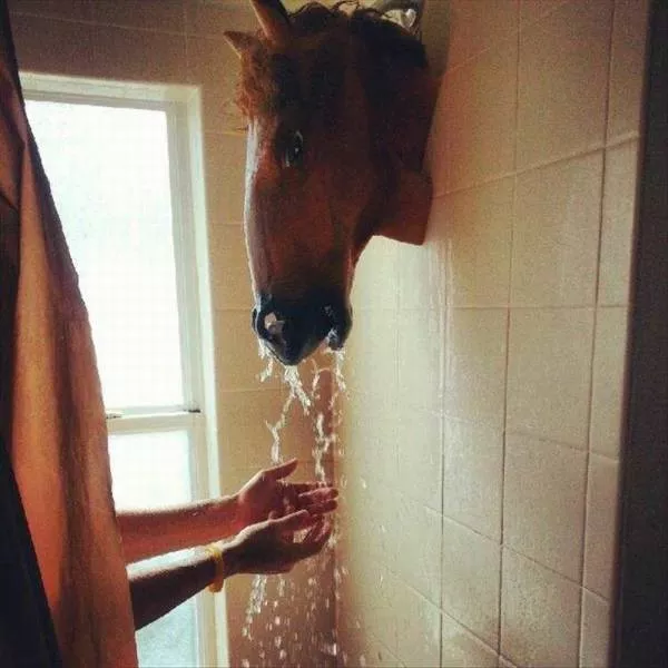 Picdump 42 - #63 
