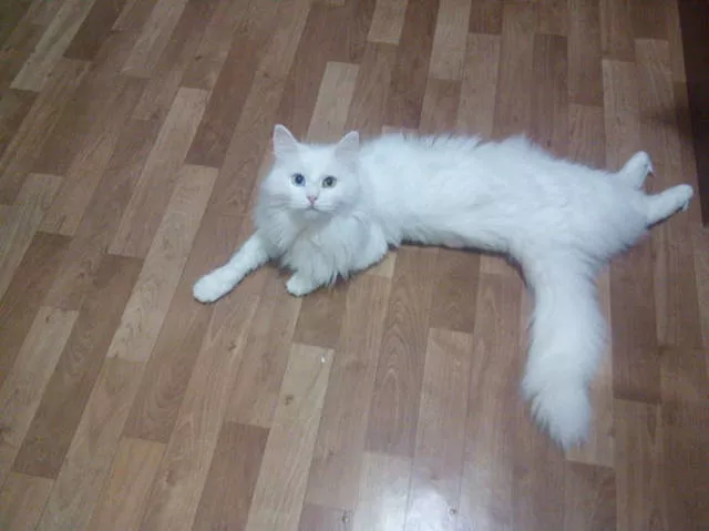 Picdump 42 - #7 