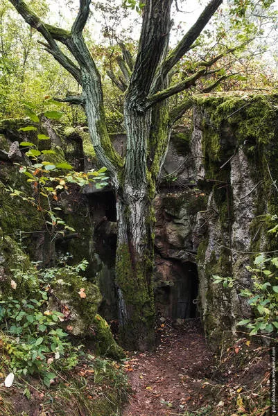 Rare pics from abandoned camp earthworm - #23 