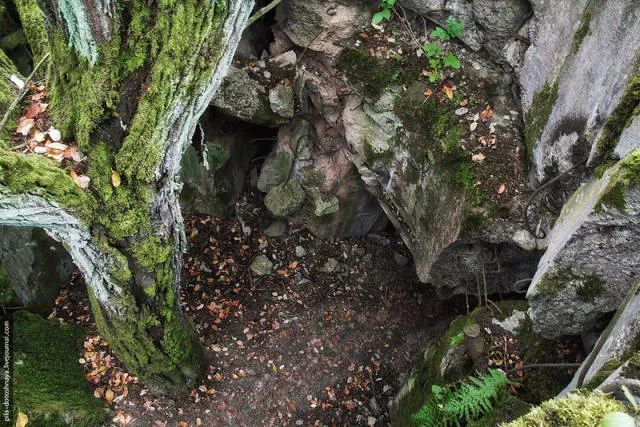 Rare pics from abandoned camp earthworm - #24 
