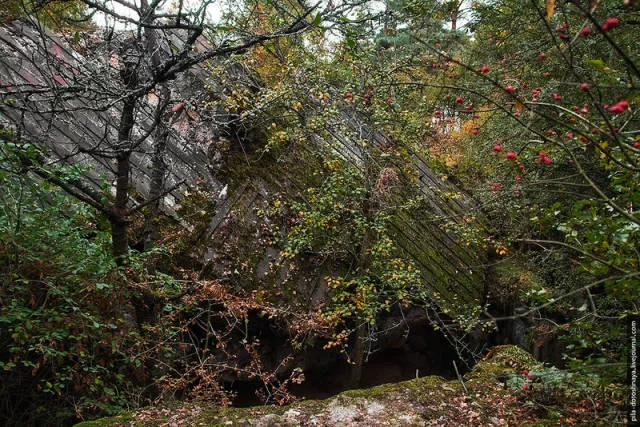 Rare pics from abandoned camp earthworm - #26 