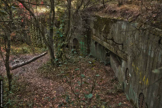 Rare pics from abandoned camp earthworm - #30 