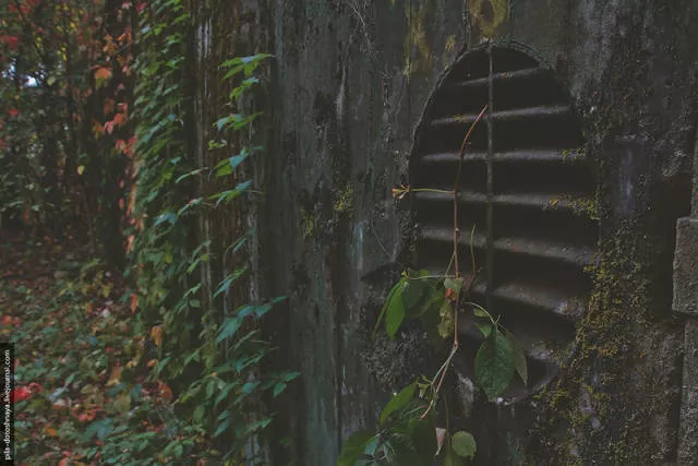 Photos rares du camp abandonne earthworm - #32 