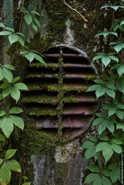 Photos rares du camp abandonne earthworm - #33 