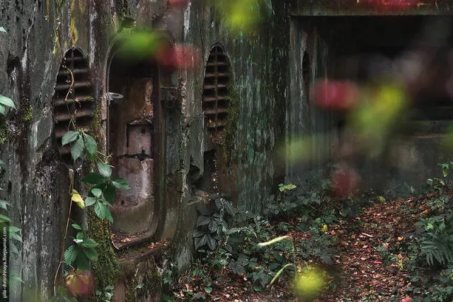 Rare pics from abandoned camp earthworm - #34 