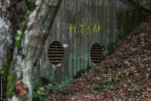Rare pics from abandoned camp earthworm - #35 