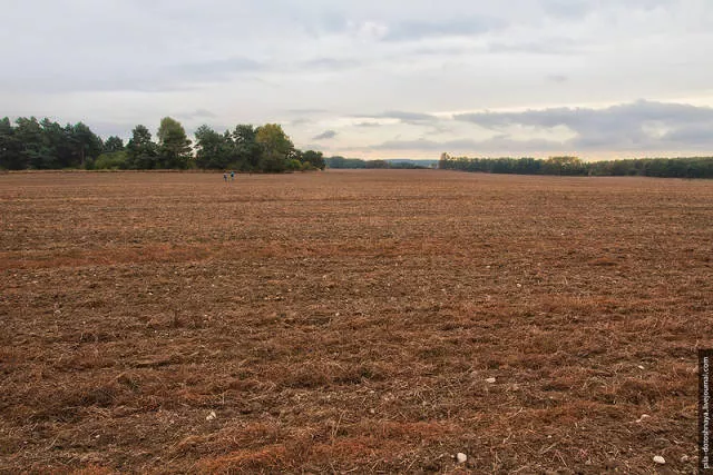 Rare pics from abandoned camp earthworm - #36 