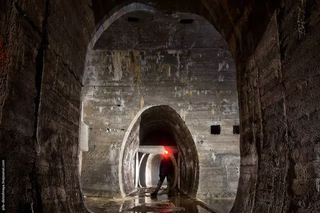 Photos rares du camp abandonne earthworm