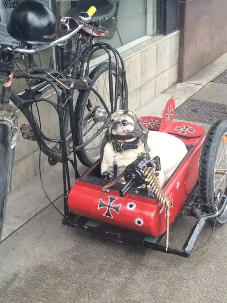 Picdump 149 - #19 