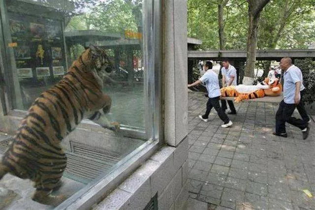 Picdump 149 - #25 