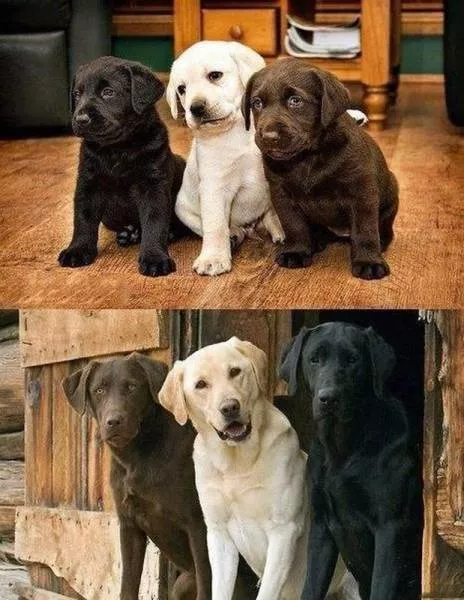 Picdump 149 - #33 