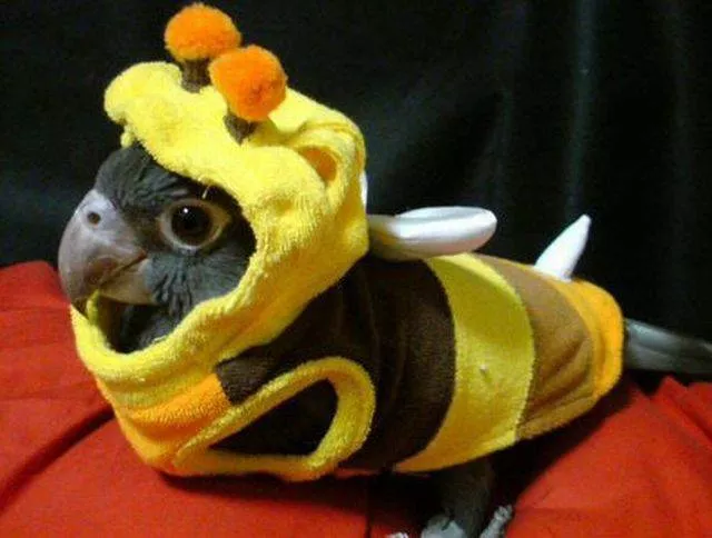 Picdump 149 - #46 