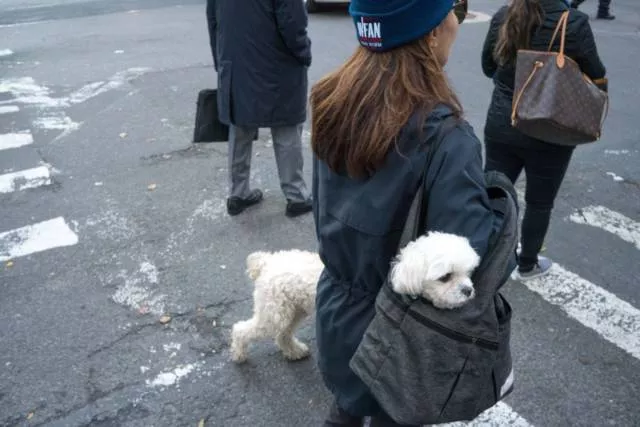 Picdump 149 - #48 