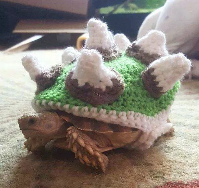 Picdump 149 - #58 