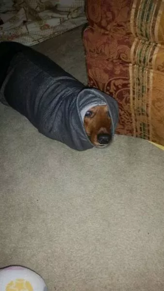 Picdump 149 - #77 
