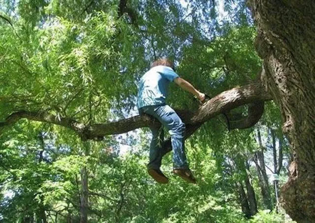 The worst fails ever seen in pictures - #36 