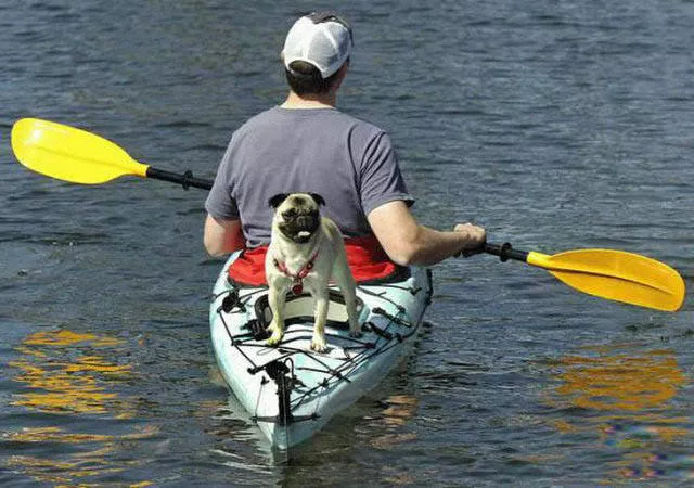 Les bateaux les plus insolites et originaux - #1 