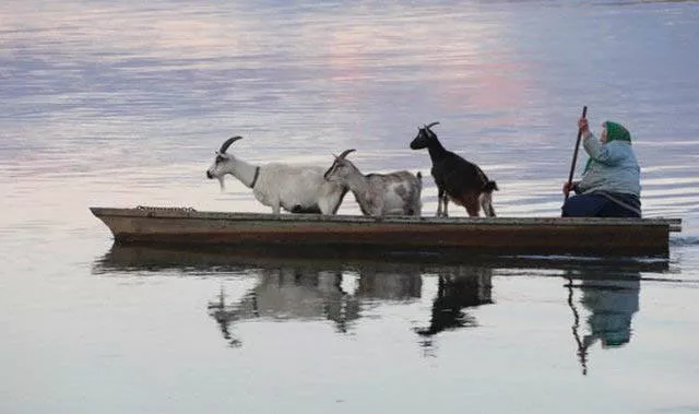 Les bateaux les plus insolites et originaux - #26 