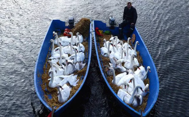 Les bateaux les plus insolites et originaux - #39 