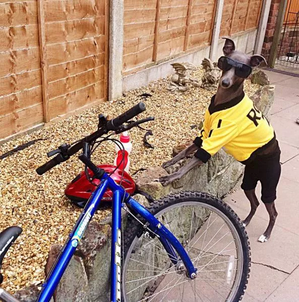Picdump 151 - #50 