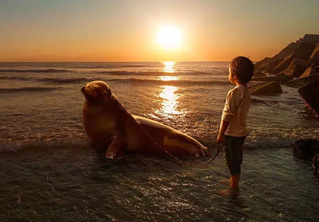 Les magnifiques scenes surrealistes de adrian sommeling - #25 