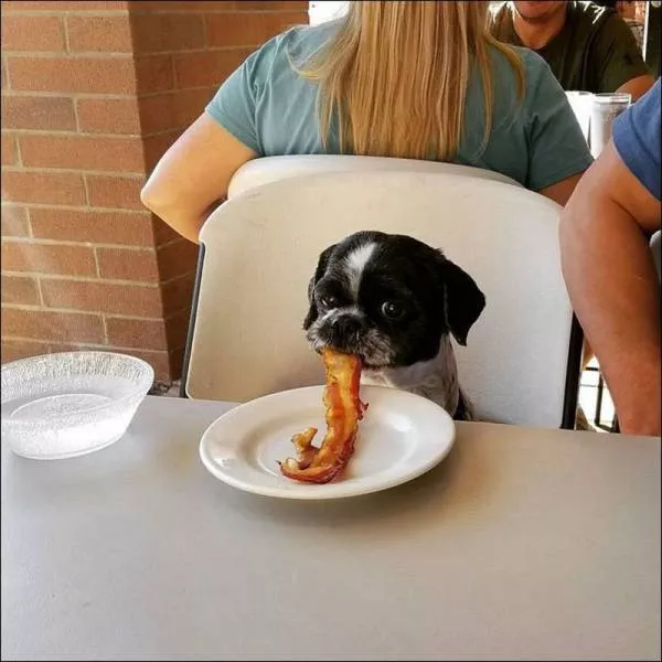 Picdump 152 - #10 