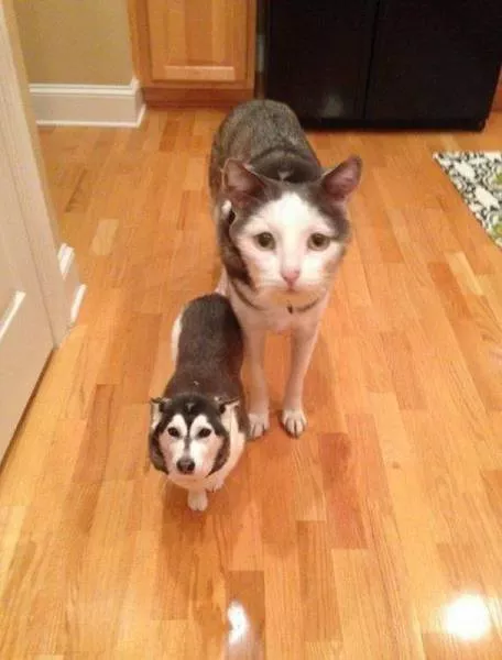 Picdump 152 - #15 