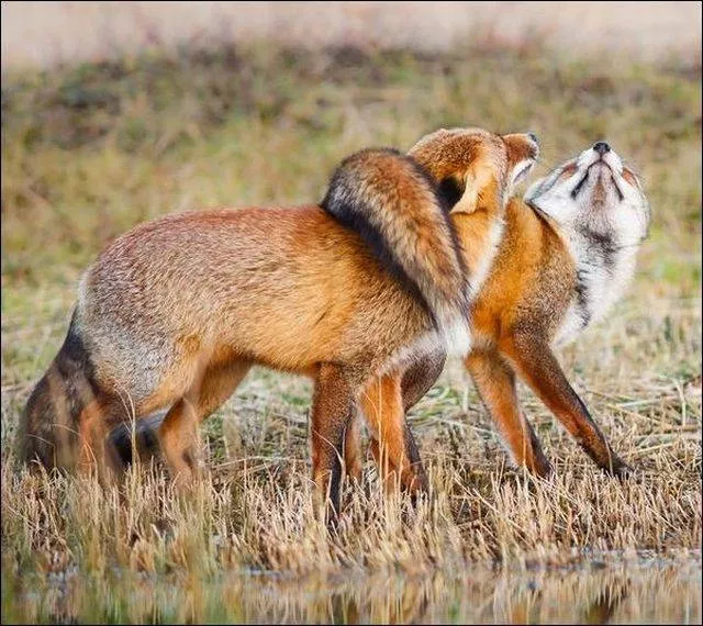 Picdump 152 - #30 