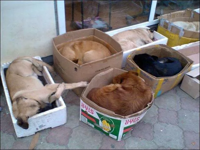 Picdump 152 - #32 