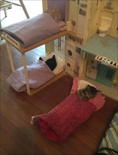 Picdump 152 - #69 
