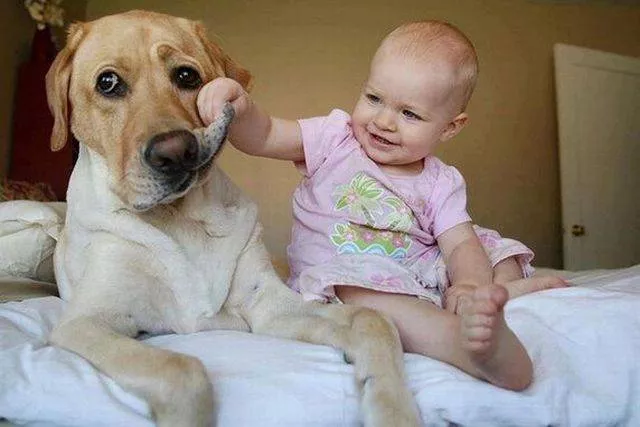 Picdump 152 - #71 