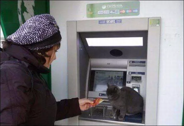 Picdump 152 - #76 