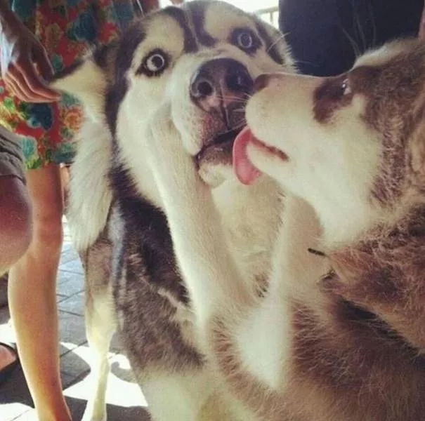 Picdump 152 - #77 