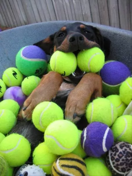 Picdump 153 - #11 
