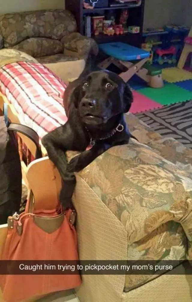 Picdump 153 - #16 