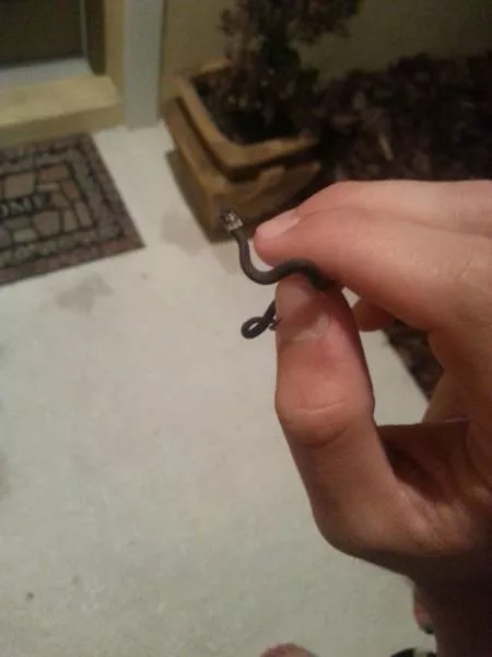Picdump 153