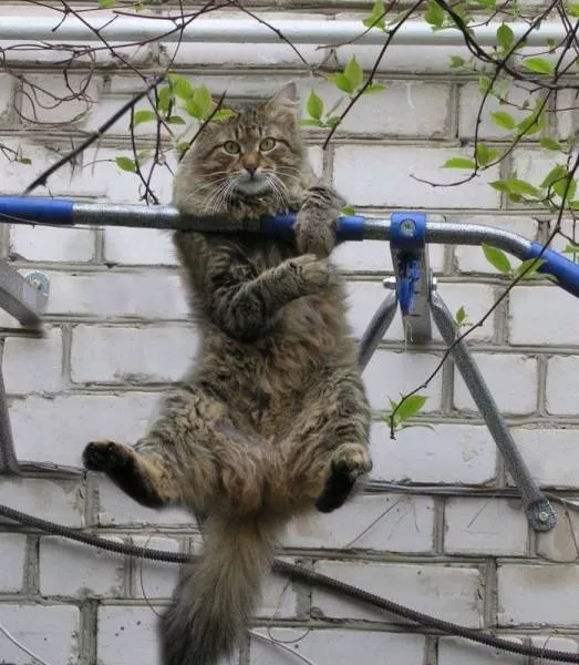 Picdump 153 - #30 