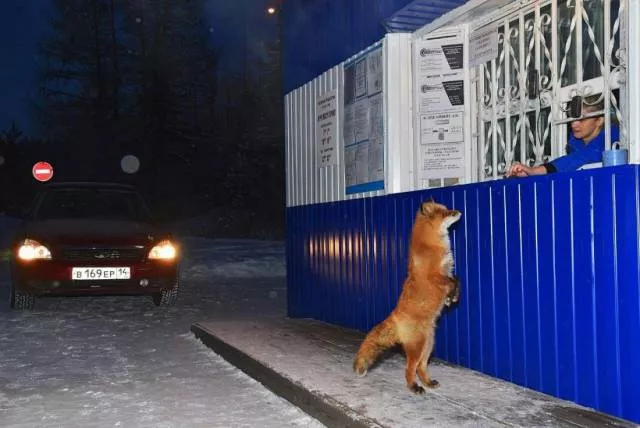 Picdump 153 - #31 