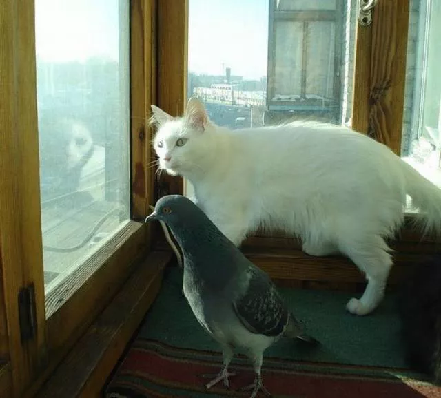 Picdump 153 - #33 